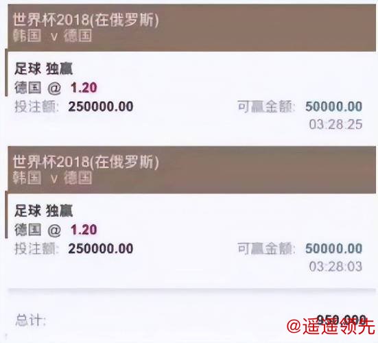 全面了解世界杯投注官网最新网址平台的优势与选择