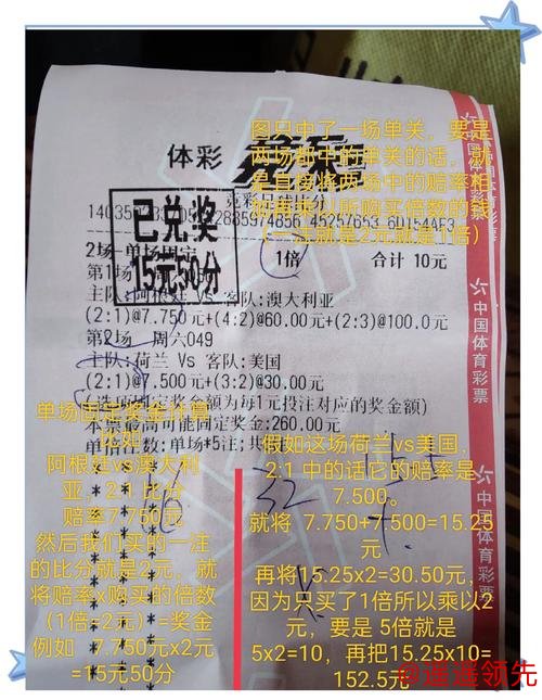 全面剖析：世界杯投注官网最佳选择