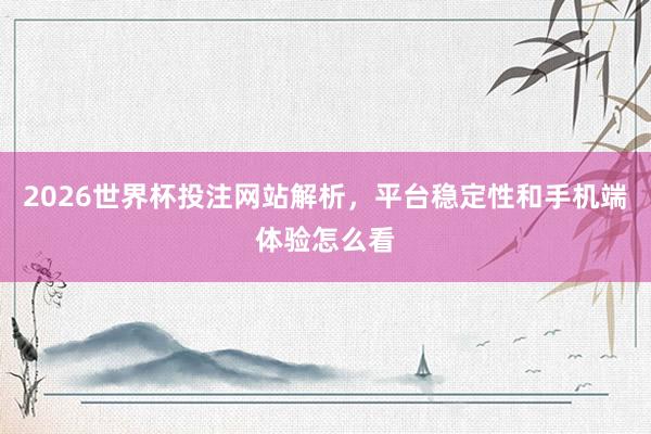 2026世界杯投注网站解析，平台稳定性和手机端体验怎么看