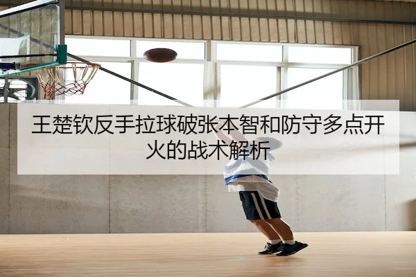 王楚钦反手拉球破张本智和防守多点开火的战术解析